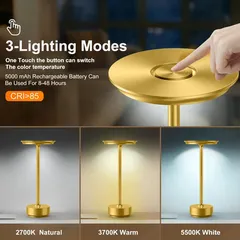 Levin Table Lamp Dimmable USB Charger (Gold, 5 W)