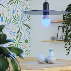 Nanoleaf Essentials Color-Changing A60 Smart Bulb (8.5 W, 1 Pc.)