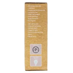 Atmosphera Battery-Operated 20 LED String Light (2 m, Cool White)