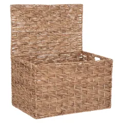 Atmosphera Origins Water Hyacinth Trunk Set (3 Pc., Natural)