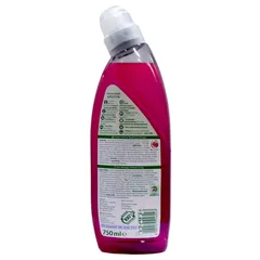 Frosch Raspberry Toilet Cleaning Liquid (750 ml)