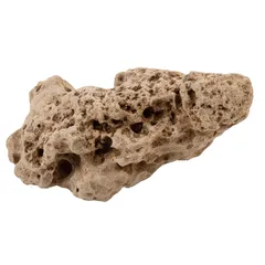 Fossil Hole Rocks (15 - 20 cm)