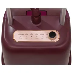 Black+Decker Twin Pole Garment Steamer, GSTD2450-B5 (2400 W, 2 L)