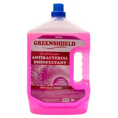 Green Shield Antibacterial Disinfectant (3 L)