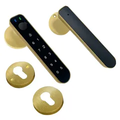 قفل SB ذكي بمقبض إيس (28.5 × 18.3 × 10.5 سم، ذهبي)