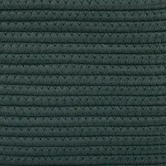 5Five Ficus Laundry Basket (Green, 80 L)