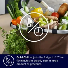 Electrolux Side By Side Refrigerator (624 L)