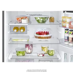 Samsung Freestanding Bottom Mount Freezer Refrigerator, RB50DG632ES9AE (459 L)