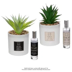 Atmosphera Fragrance Giftbox (Cactus, D. 9.5 x H. 19 cm)