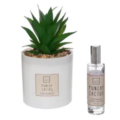 Atmosphera Fragrance Giftbox (Cactus, D. 9.5 x H. 19 cm)