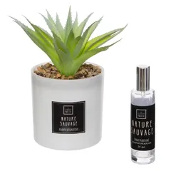 Atmosphera Fragrance Giftbox (Cactus, D. 9.5 x H. 19 cm)