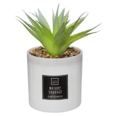 Atmosphera Fragrance Giftbox (Cactus, D. 9.5 x H. 19 cm)
