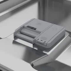 2313981