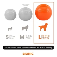 Hagen Bionic Large Dog Ball (8.2 cm, Orange)