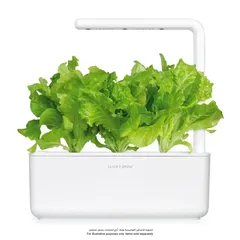 Click & Grow Green Lettuce plant pods (3 Pc.)