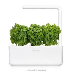 Click & Grow Dwarf Basil Plant pod (3 Pc.)