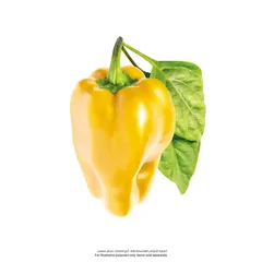 Click & Grow Sweet Pepper Plant Pods (Yellow, 3 Pc.)
