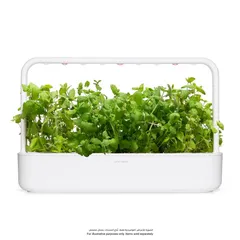 Click & Grow Apple Mint Plant pod (3 Pc.)