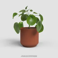Artevasi Luna Plant Pot (Terracotta, 12 cm)