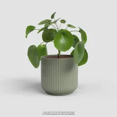 Artevasi Luna Plant Pot (Green, 15 cm)