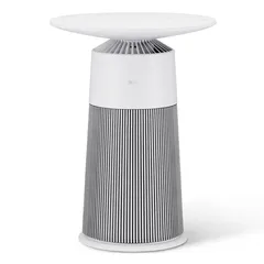 LG PuriCare™ AeroFurniture Air Purifier, AS20GPHK0 (19.8 ㎡, 28 W)