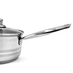 Prestige Infinity Stainless Steel Sauce Pan W/Transparent Cover Lid (Silver, 3 L, 20 cm)