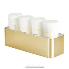 Interdesign Patton Toilet Steel Tissue Bin (Beige, 15.8 x 43.8 x 13.3 cm)