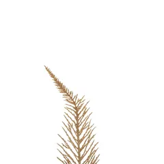 Atmosphera Gold Cypress Branch Decoration (1 Pc, 21 x 12 x 75 cm)