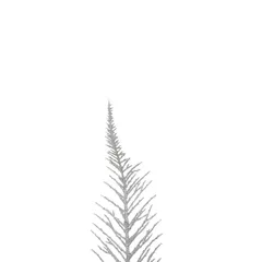 Atmosphera Silver Cypress Branch Decoration (1 Pc, 21 x 12 x 75 cm)