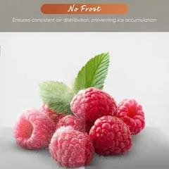 Ariston Freestanding Top Mount Refrigerator, ART60F1351XME (Inox, 314 L)