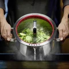 WMF Function 4 Stainless Steel Cookware W/Multifunction Glass Lid Set (24 cm, 5 Pc.)