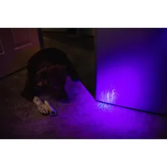 Nebo Torchy UV & Backlight