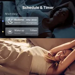 Tapo Smart Wi-Fi Light Bulb Pack, L530E (Multicolor, 4 Pc.)