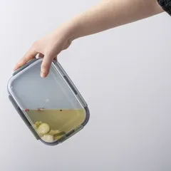 Lock & Lock Classic Plus Plastic Rectangle Food Container (Mint, 6 L)