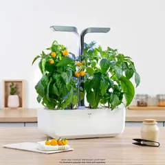Veritable Smart Planting Kit W/ 4 Slots (Infinity Grey, 1.5 Kg)