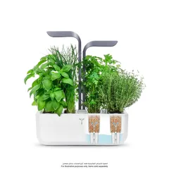 Veritable Smart Planting Kit W/ 4 Slots (Infinity Grey, 1.5 Kg)