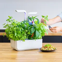 Veritable Classic Smart Planting Kit W/ 4 Slots (Arctic White, 1.5 Kg)