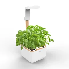 Lingot Botaneo Smart Planting Kit W/ 2 Slots (White, 1.5 Kg)