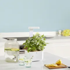 Lingot Botaneo Smart Planting Kit W/ 2 Slots (White, 1.5 Kg)