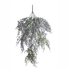 Vinifera Grape Hanging Plant (85 cm, Purple)