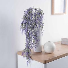 Vinifera Grape Hanging Plant (85 cm, Purple)