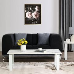 Morena MDF & Chipboard Coffee Table Danube Home (120 x 60 x 40 cm)