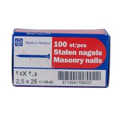 Mkats Steel Nails Holland Quality (2.5 x 25 mm, Pack of 100)