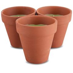 Waxworks Terracotta Citronella Round Pots (9.5 x 9 cm, Pack of 3)