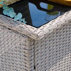 Modern Rattan & Steel High Chair & Table Set Danube Home