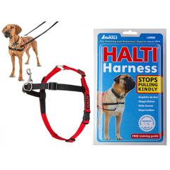 Company Of Animals Halti Harness (Large)