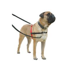 Company Of Animals Halti Harness (Large)