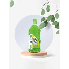 Loyal Surface Cleaner Liquid (Spring Time, 2400 ml)