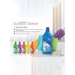 Loyal Surface Cleaner Liquid (Spring Time, 2400 ml)