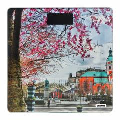 Geepas Digital Personal Weighing Scale, GBS4213